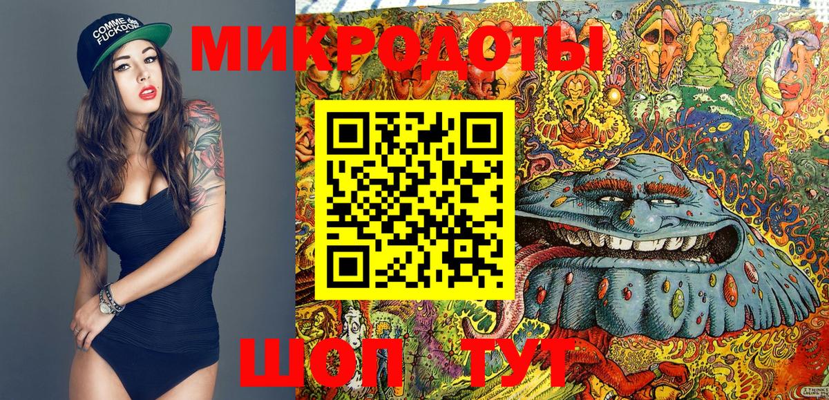 Балашов  Галлюциногенные грибы Cubensis  Галлюциногенные грибы Cubensis  как найти наркотики  Вход с VPN 